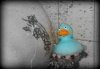 DSCF0628.jpg