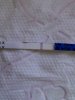 IMG-20130304-00477.jpg