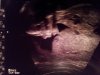 20130304_195250.jpg