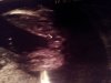 20130304_195308.jpg