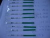 DSC05687.jpg