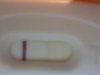 Snapshot_20130305_1.JPG
