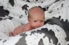 IMG_7673a.jpg
