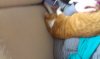 2013-03-07 14.19.05.jpg