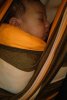 15022013025a.jpg