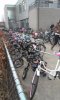 2013-03-08 08.33.24.jpg