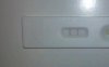 test.jpg