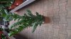 IMG-20200124-WA0002.jpeg