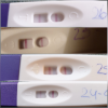 quickgrid_20201261011421.png