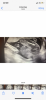 F6D50C21-49F6-4192-900F-88C59200823F.png