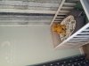 IMG_20200208_144028.jpg