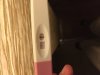 34D1D188-1DAE-4C8E-9E3F-00E8740563AE.jpeg