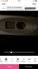 C2D89B73-345E-4F87-B85B-49A3A64C7471.png