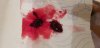 20191130_075146.jpg