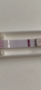 4E84FB56-2D5E-4D06-98FF-41B06C0115D1.png