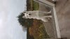 20171118_081859.jpg
