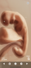 5D15F925-55D9-44A5-9E47-AEF0E146708F.png