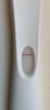 EBB90D8D-0BE1-4FA4-A69A-7A49E8496267.png