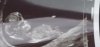 8916BE8F-9952-4877-A44B-18CCA8B53B79.jpeg