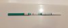 20200310 - 11 dpo-1.jpg
