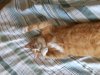 20190621_163958.jpg