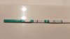 20200312 - 13 dpo.jpg