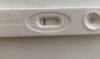 EC2DC677-E1D1-49F3-BEEE-49D1AC388534.jpeg