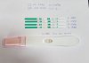 20200313_ 11-14 dpo .jpg