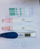 20200314 - 11-15 dpo.jpg