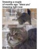 tumblr_fcb2d3166187e18d183cd7ed6be825d1_2d5fe978_640.jpg