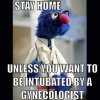 FB_IMG_1584714383462.jpg