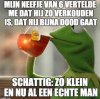 FB_IMG_1584855463211.jpg