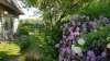 20180506_085634.jpg