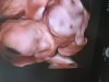 DAEC5ECC-74BD-48E8-9276-9606ED3FF11E.jpeg