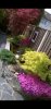 Screenshot_20200325-221343_Gallery.jpg