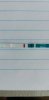 IMG-20200326-WA0014.jpeg