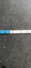 9E2A9E57-8777-489D-8970-4EC557F1A834.png