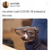 FB_IMG_1585637797700.jpg