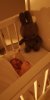 IMG-20200402-WA0130.jpeg