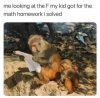 FB_IMG_1585991152479.jpg