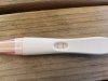 15861839885653796864806936448048.jpg