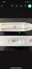 067F480E-7112-409B-9338-681E668DA1D3.png