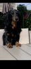 90901F57-C68C-4902-9F69-B8C7C9A729A3.png