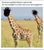 FB_IMG_1586811229828.jpg