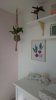 IMG-20200417-WA0036.jpeg