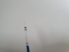20200418_072449.jpg