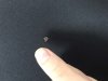 04633131-28D1-46DE-8124-37B68231D143.jpeg