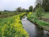 IMG-20200419-WA0003.jpg
