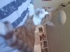 20200421_093025.jpg