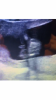 5448EE26-C690-4C24-90C4-DF57656178EA.png